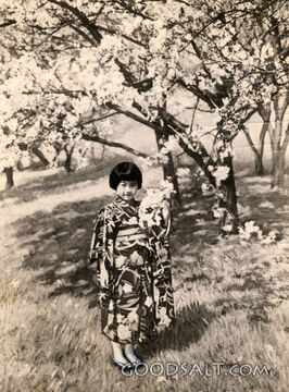Japanese Girl Under Cherry Trees
