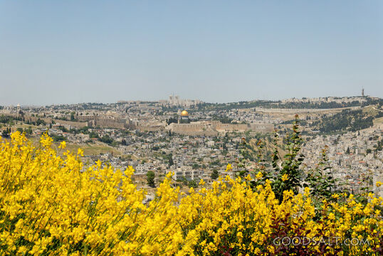 Jerusalem From South