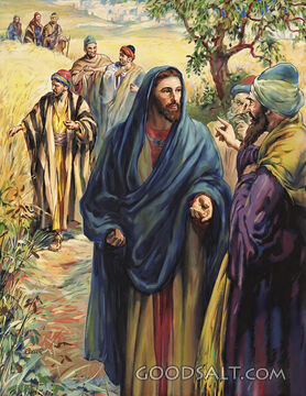 Jesus and His Disciples in the Cornfield