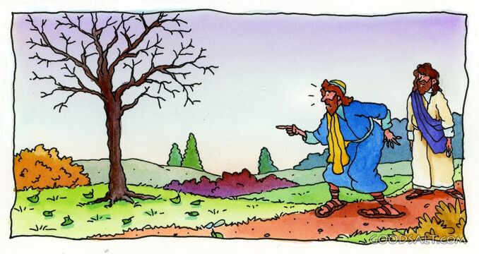 Jesus and the Fig Tree