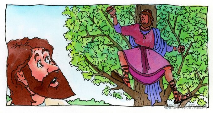 Jesus and Zacchaeus