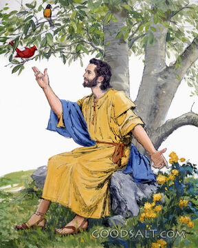 Jesus, Birds, and Flowers