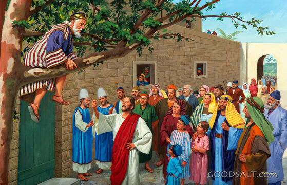Jesus Calls to Zacchaeus