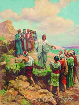 Jesus Chooses the Twelve