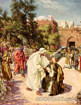 Jesus Cleanses a Leper