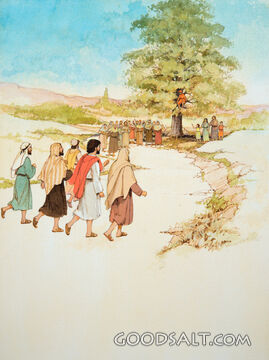 Jesus Comes to Zacchaeus