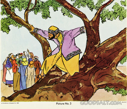 Jesus, Friend to Zaccheus