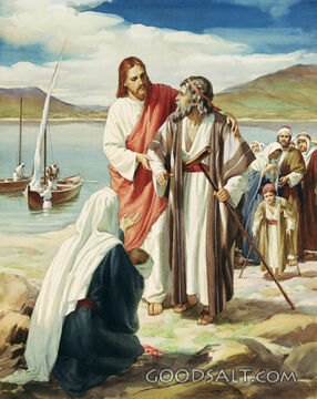 Jesus Healing the Sick