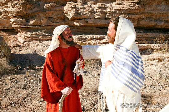 Jesus Heals a Leper