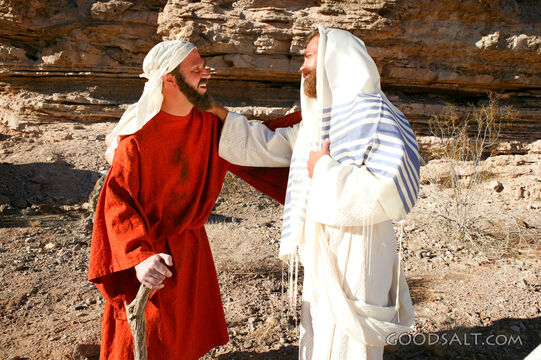 Jesus Heals a Leper