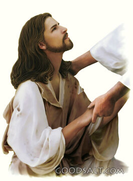 Jesus Heals a Leper