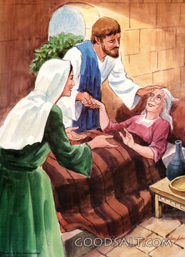 Jesus Heals Peter&#039;s Mother-in-law