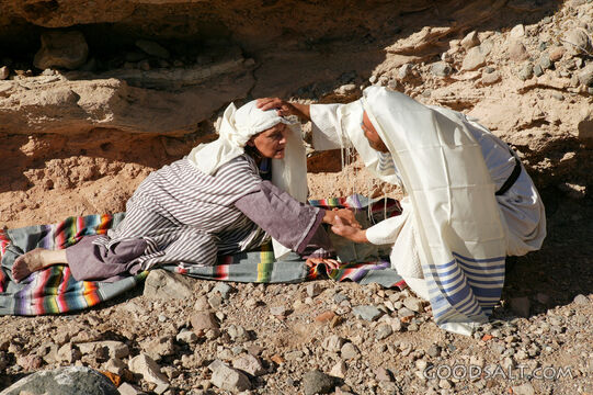 Jesus Heals the Sick