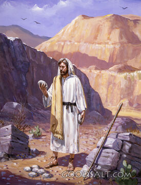 Jesus in the Wilderenss