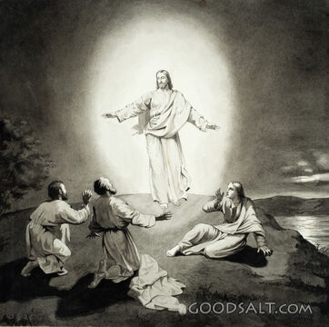 Jesus Is Transfigured