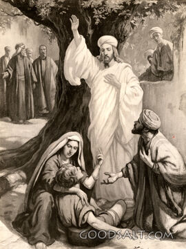 Jesus Makes a Sick Boy Well