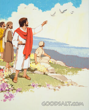 Jesus Points to Lessons of Nature