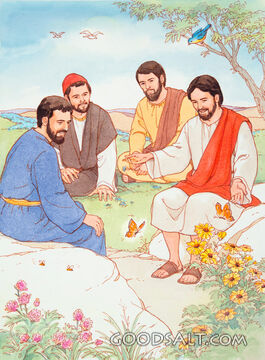 Jesus Points to Nature