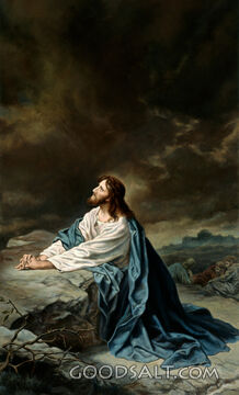 Jesus Praying