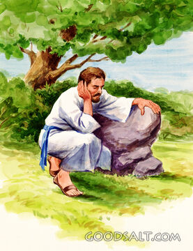 Jesus Praying