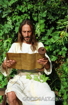 Jesus Reading Scriptures