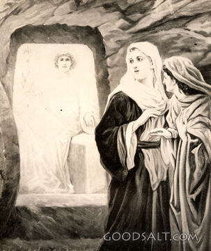 Jesus Rises Form the Dead