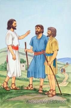 Jesus Sends Out His Disciples by Pairs