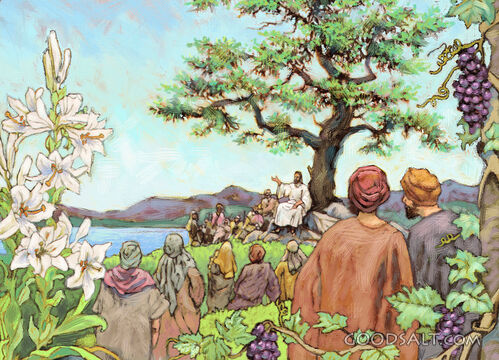 Jesus Speaks to a Group of People