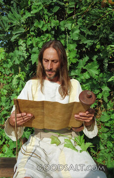 Jesus Studies the Scriptures