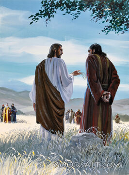 Jesus Teaching About the Sower