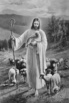 Jesus the Good Shepherd