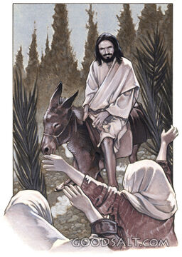 Jesus&#039; Triumphal Entry
