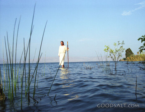 Jesus Walking on Water