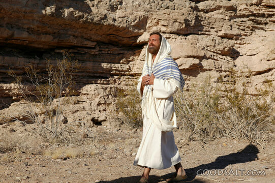 Jesus Walks in the Desert