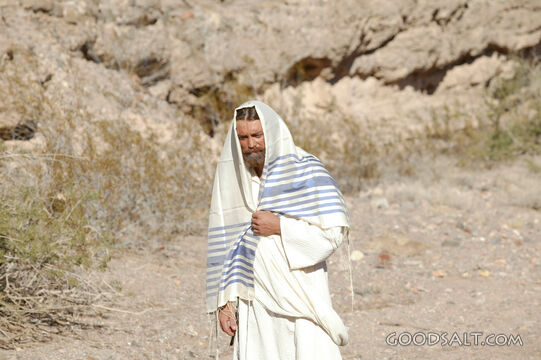 Jesus Walks in the Desert