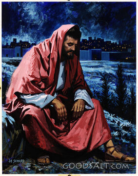Jesus Weeps over Jerusalem