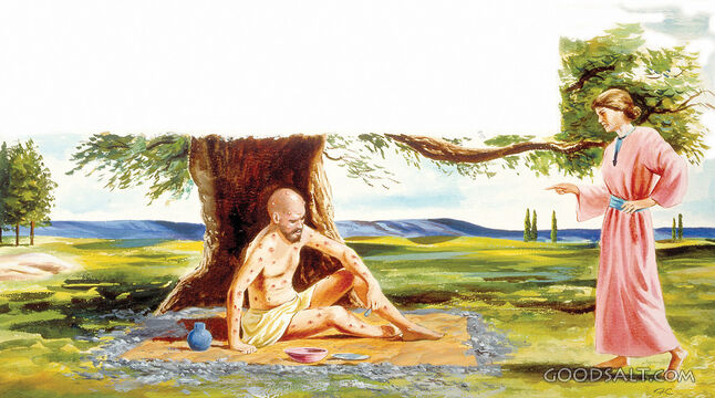 Job&#039;s Sorrow