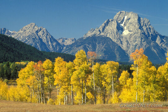 Teton Autumn Majesty