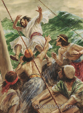 Jonah Cast Into the Sea