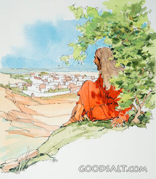 Jonah Waits