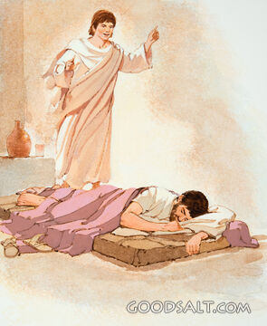 Joseph&#039;s Dream