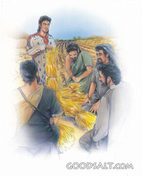 Joseph&#039;s Dream