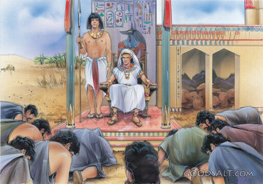 Joseph&#039;s Elevation