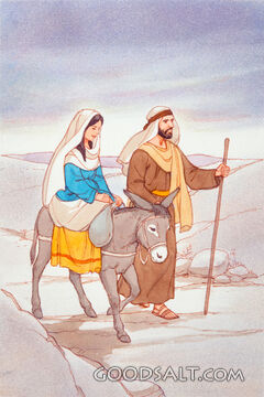 Journey to Bethlehem