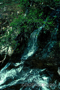 Living Water Cascade