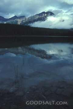 Still Waters Beneath the Mountains