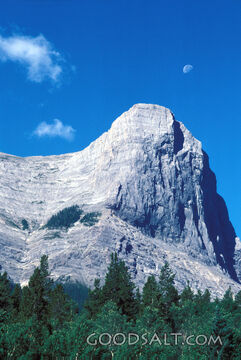 Mountain Majesty Under the Moon
