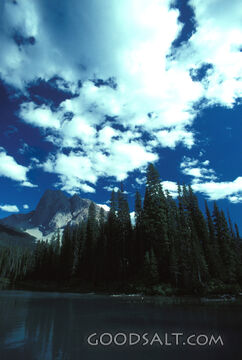 Majesty of Creation