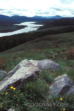Still Waters Among the Hills