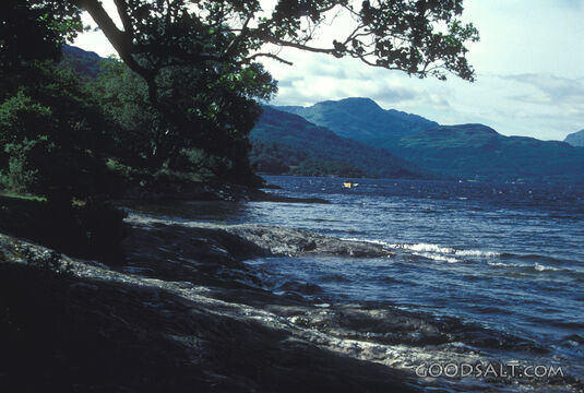 Shoreline Refuge Beneath the Mountains